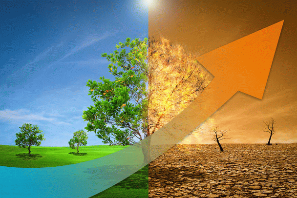 environment-محیط زیست